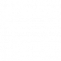 cow (1).png